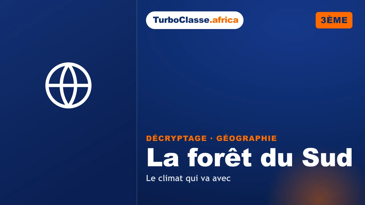 3ème (BEPC) — Géographie : la forêt du Sud et le climat qui va avec. Décryptage Thoth, fond bleu nuit.