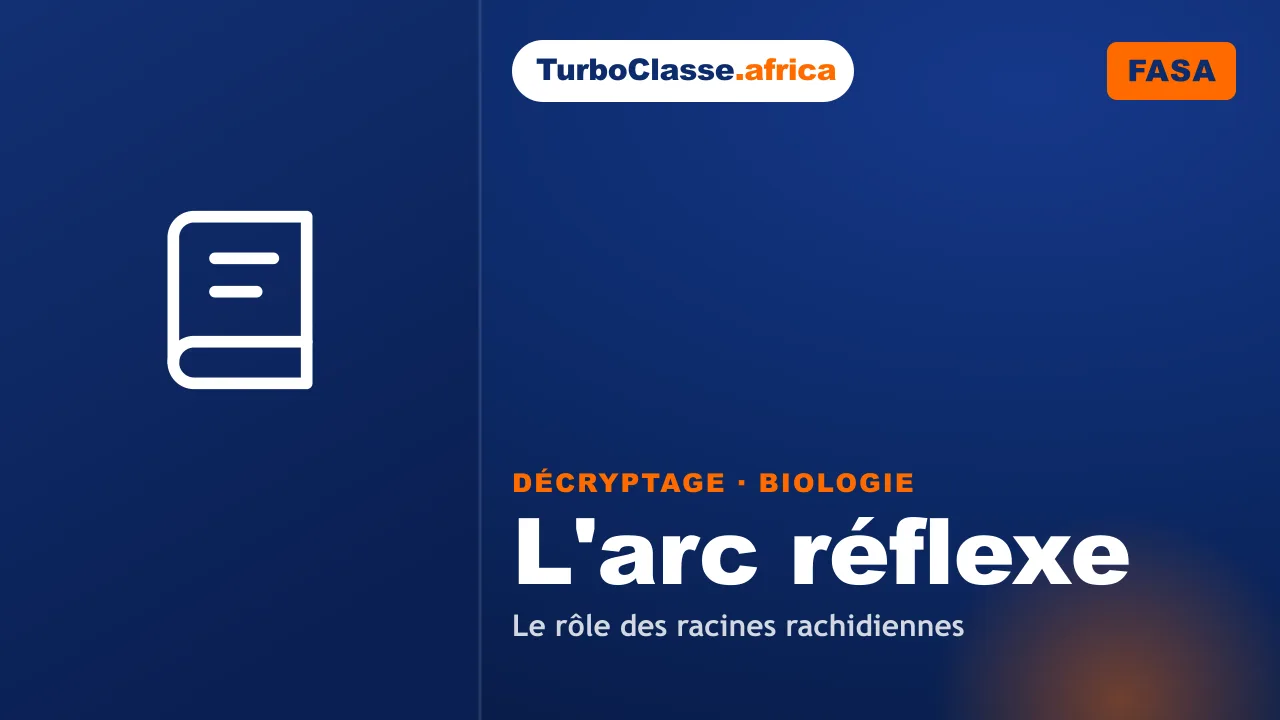 Concours FASA — Biologie : l'arc réflexe et le rôle des racines rachidiennes. Décryptage Thoth, fond bleu nuit.