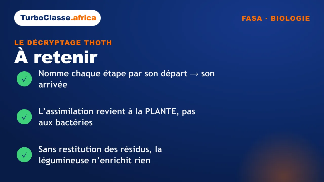 Carte « à retenir » : les trois réflexes sur le cycle de l'azote et le rôle des légumineuses, concours FASA. Fond bleu nuit TurboClasse.