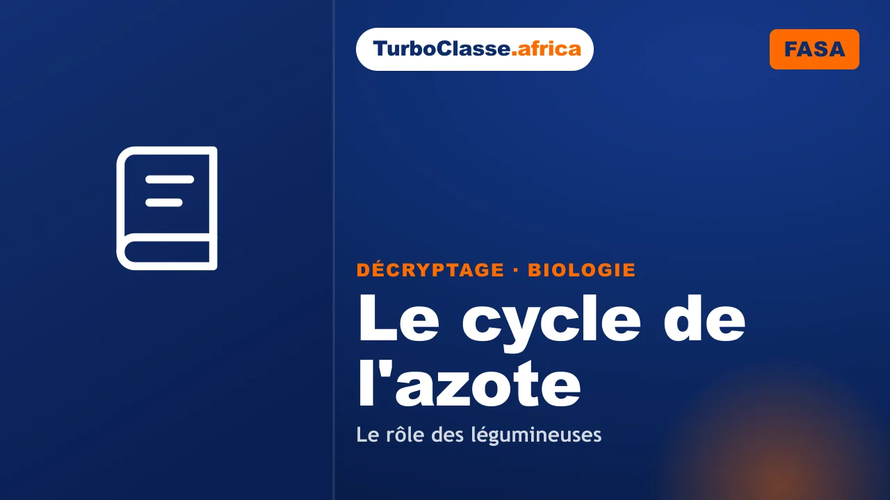 Concours FASA — Biologie : le cycle de l'azote et le rôle des légumineuses. Décryptage Thoth, fond bleu nuit.