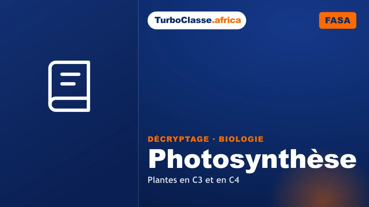 Concours FASA — Biologie : la photosynthèse des plantes en C3 et en C4. Décryptage Thoth, fond bleu nuit.