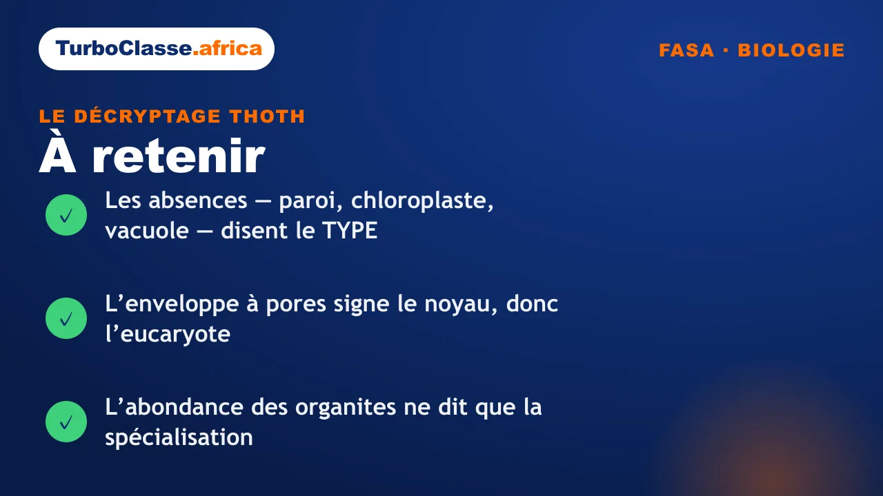 Carte « à retenir » : les trois réflexes sur reconnaître un type cellulaire, concours FASA. Fond bleu nuit TurboClasse.