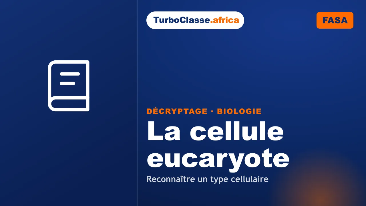Concours FASA — Biologie : reconnaître un type cellulaire. Décryptage Thoth, fond bleu nuit.