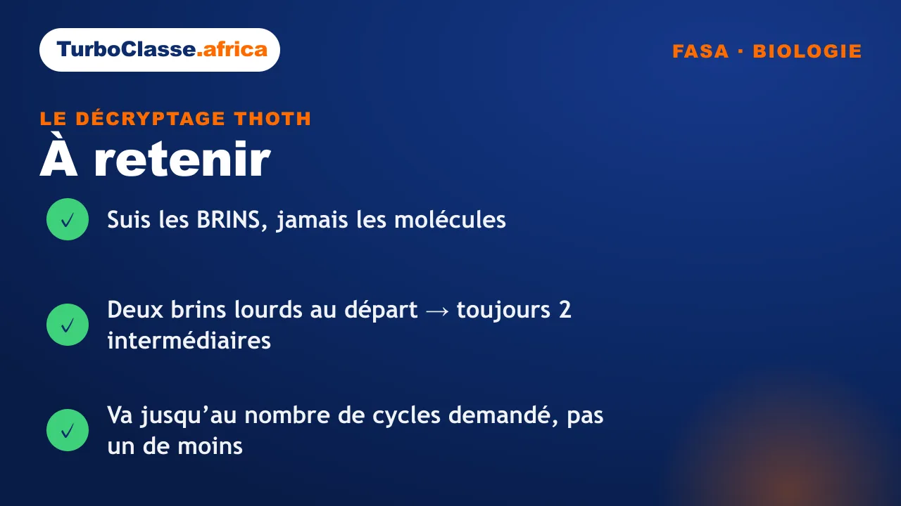 Carte « à retenir » : les trois réflexes sur la réplication de l'ADN et l'expérience de Meselson et Stahl, concours FASA. Fond bleu nuit TurboClasse.