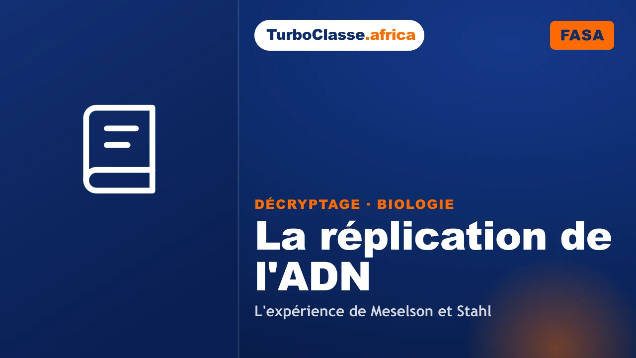 Concours FASA — Biologie : la réplication de l'ADN et l'expérience de Meselson et Stahl. Décryptage Thoth, fond bleu nuit.