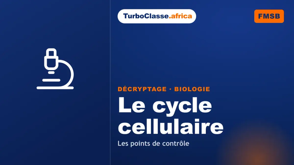 Le Décryptage Thoth — Concours FMSB, Biologie : le cycle cellulaire et ses points de contrôle, sur fond bleu nuit TurboClasse. La carte affiche le titre du décryptage et sa matière. Elle sert de couverture à l'article et à la vidéo jumelle.