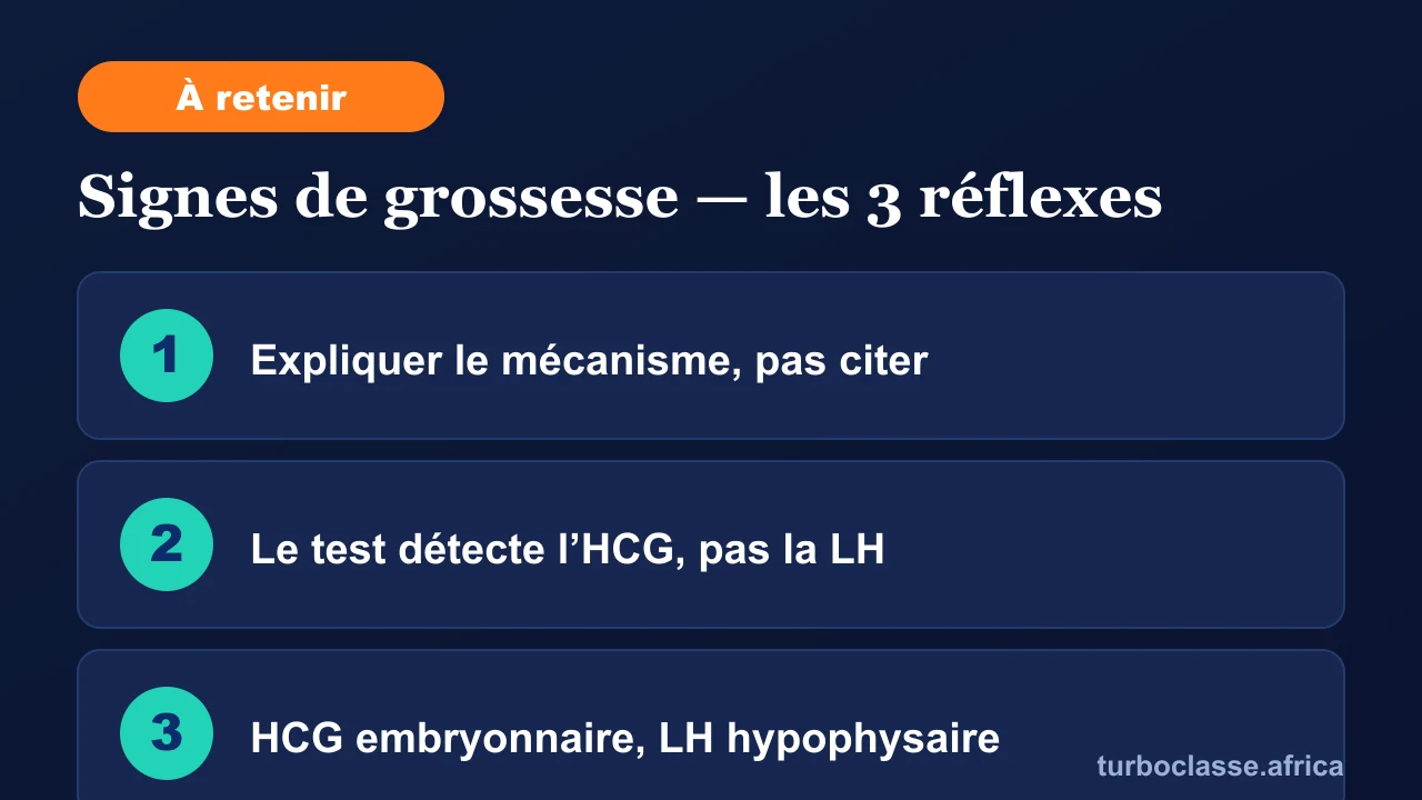 Carte « à retenir » : les trois réflexes pour réussir une copie sur les signes de grossesse. Elle rappelle d'expliquer le mécanisme et pas seulement citer, que le test détecte l'HCG et non la LH, et que l'HCG est embryonnaire alors que la LH est hypophysaire. Fond bleu nuit TurboClasse.
